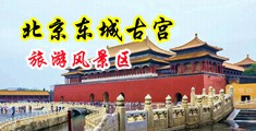 大黑屄女人作爱肏屄中国北京-东城古宫旅游风景区